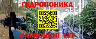 крисы Ярославль