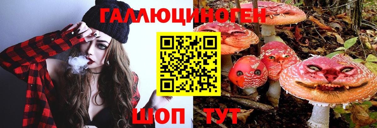 Псилоцибиновые грибы мухоморы  Вход с VPN  Галлюциногенные грибы ЛСД  Майский 